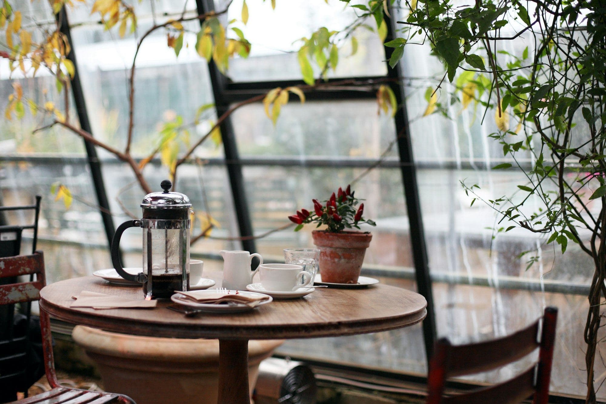 โต๊ะไม้กลมริมหน้าต่างกระจก กาน้ำชาแบบเฟรนช์เพรส ถ้วยกาแฟ และต้นไม้